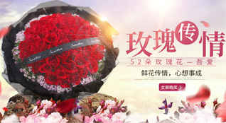 甘肃省庆阳环县秦团庄乡王团庄村鲜花速递
